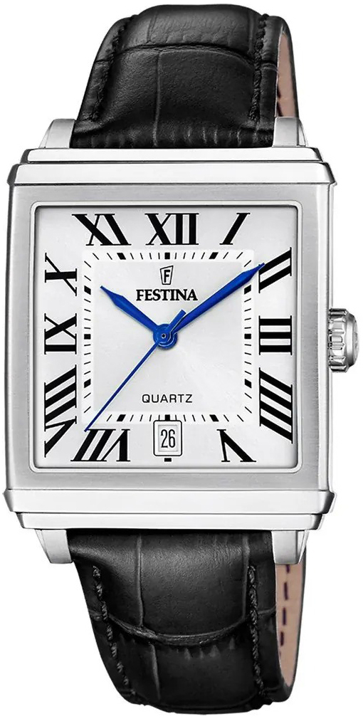 Festina Miesten kello F20681-1 Classic Hopea/Nahka