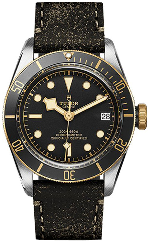 Tudor Miesten kello M79733N-0007 Black Bay Musta/Nahka Ø41 mm